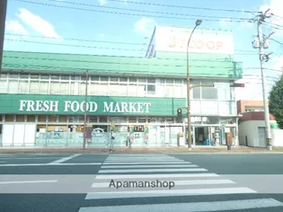 グレイス自由ヶ丘【1階】の周辺