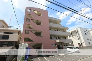 ドルフィン和白の画像