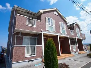 プレイン コートSⅢの画像