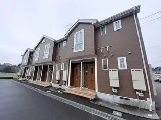 プラシードCの画像