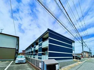 レオネクスト松の本の画像