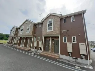 プラシードDの画像