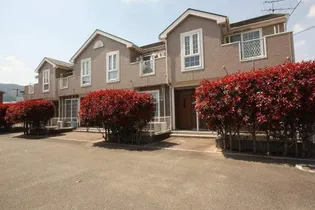 グラシュ プレーヌBの画像