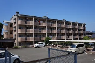 ボーフェンドゥリーの画像