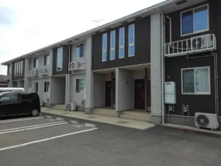 ミラコロ ステラの画像