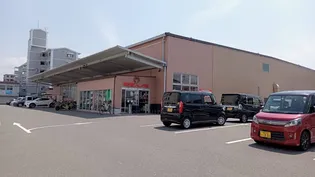 レオパレスハーモニーランドⅡ【1階】の周辺