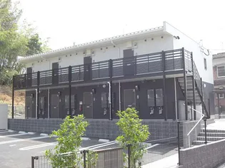 レオネクストフリージアの画像