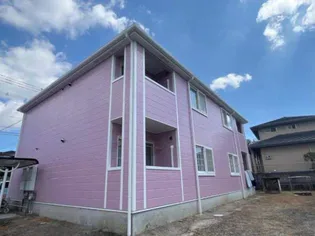 フローラルコスモスの画像