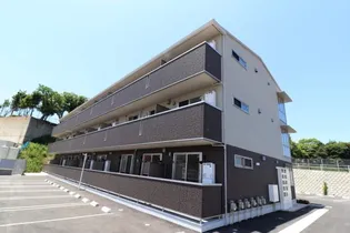 EPI和白丘の画像