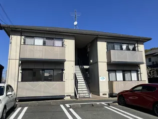 ディアス木の花の画像