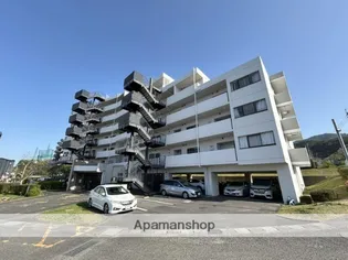 デュオ柏原の画像