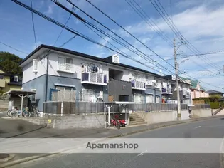 メロディ柏原の画像