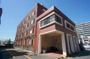 コア サントリの画像