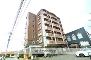 ラフィネ板付の画像