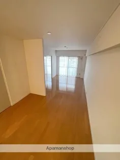 大池ニューハイツ【7階】の居間