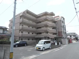 エバー グリーンの画像