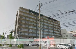 ステラSTIIIの画像