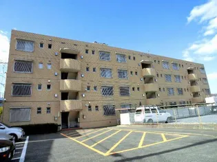 ハイムTOHの画像