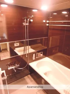 ウェルブライト博多ステーション 住居【5階】の風呂