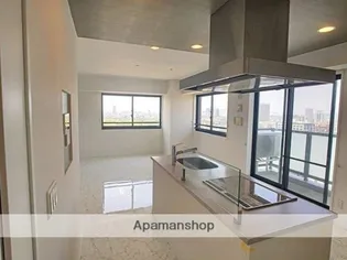 ロイヤルパークス大名【22階】のキッチン