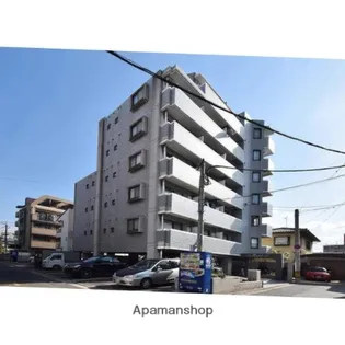 メープルの画像