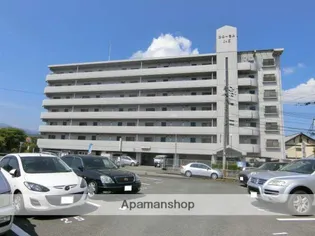 フローラルTSの画像