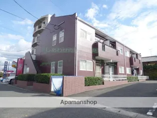 サザンクロスの画像