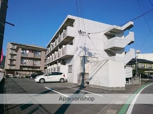 コルテライムの画像