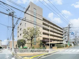 ライムライトの画像