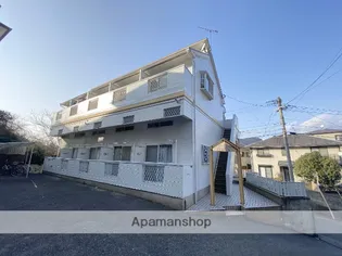 ウェルネス石坂の画像