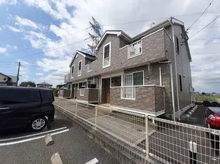 オーキッドの画像