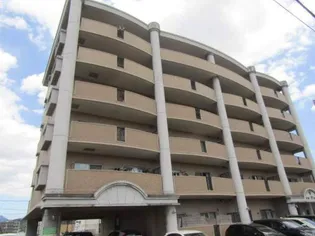 アム フルッスの画像