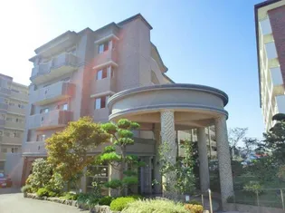 ヴェルドミールⅡの画像