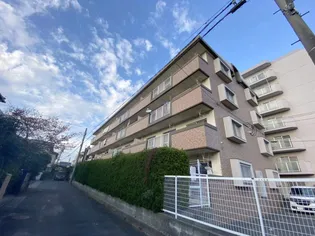 コーネル井尻の画像