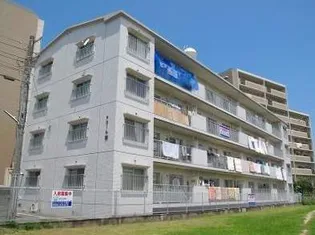 ドミール藤の画像