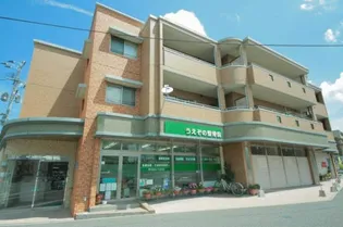 アムール古水の画像