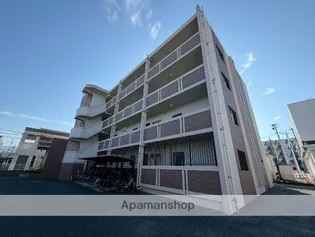 アミザージ波多江の画像