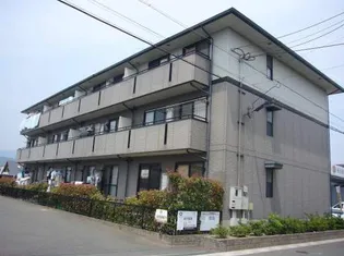 ボヌール藤の画像