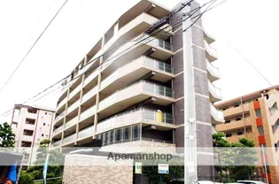 カーサコスモス【6階】の外観