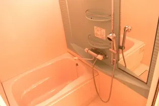 エンクレスト博多駅前Ⅲ【11階】の風呂