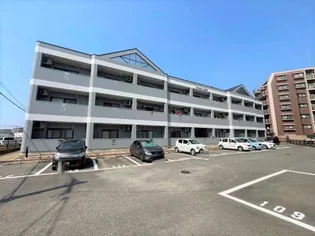 パールシャインの画像