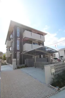 シーサーイン博多の画像