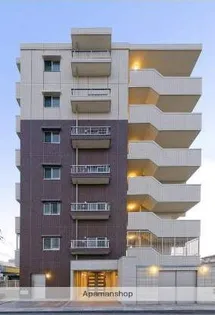 カラコレスⅤの画像