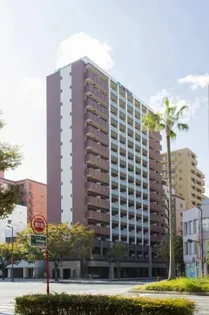 エンクレスト大博通りAPEXの画像