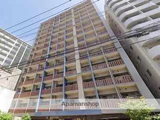 サヴォイテンジンスクワイヤーの画像