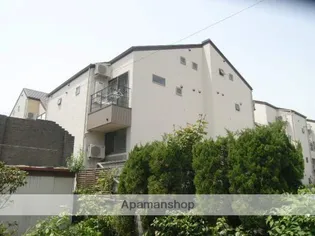 アプリコットの画像