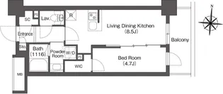 バウスステージ大濠【7階】の間取り