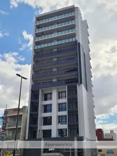 MODERN PALAZZO住吉【12階】の外観