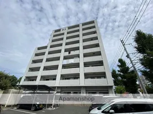 アペゼミマナの画像