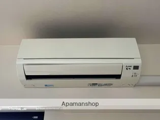 RJRプレシア天神サウス【4階】の内装